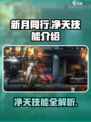 新月同行🔥净天技能全解析，玩转游戏就靠它！