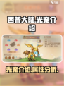 西普大陆手游光宠有什么介绍