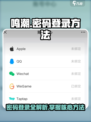 鸣潮🎉密码登录方法大公开！快速上手必看
