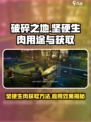 破碎之地坚硬生肉有什么用介绍