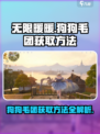 无限暖暖狗狗毛团如何获取介绍