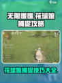 无限暖暖花球娘怎么捉介绍