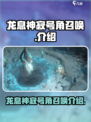 龙息神寂号角召唤有什么用介绍
