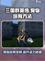 三国群英传宠物培育全解🔥助你称霸战场！