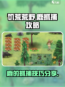 挨饿荒野游戏技巧🌟抓鹿方法大公开！
