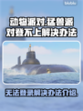动物派对登不上？猛兽派对解决办法⚡🎮