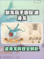 🔥《驯龙高手旅程》波涛龙全解析💦