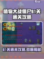 植物大战僵尸杂交版💥61关通关秘籍🎉