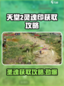 天堂之圣灵魂印📍《天堂》游戏终极获取攻略！