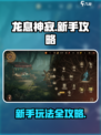 龙息神寂🔥新手必看！玩转攻略全揭秘！