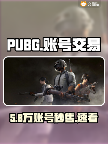 🔥PUBG账号交易神平台推荐！💥截图1
