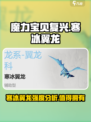 魔力宝贝复兴🔥寒冰翼龙强度分析来啦！
