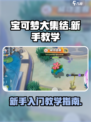 宝可梦大集结教学指南介绍