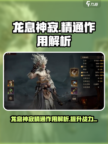 龙息神寂精通什么作用介绍截图1