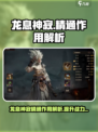 龙息神寂精通什么作用介绍