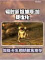 辐射新维加斯加载卡死✅用这款加速器🔥