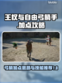 《王权与自由》弓箭加点🔥终极攻略🎉