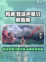 鸣潮🔥低级声骸分解全流程曝光！玩家必看👇