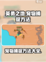 英勇之地宠物怎么捕捉介绍