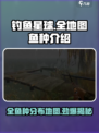 钓鱼星球攻略全地图攻略介绍