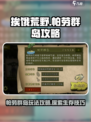 挨饿荒野帕劳群岛攻略介绍