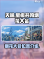 星痕共鸣烟花大会介绍介绍