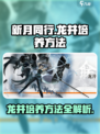 新月同行龙井培养方法介绍