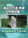 燕云十六声🔥界碑作用全解，必看攻略！