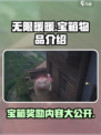 无限暖暖✨宝箱大揭秘！游戏党必看🔥