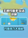 王牌钓鱼手🔥超全玩法大揭秘！🎣