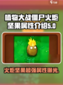 植物大战僵尸：火炬坚果🔥超神属性揭秘！