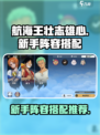 航海王壮志雄心新手阵容分享介绍