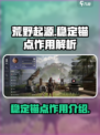 荒野起源稳定的锚点有什么用介绍