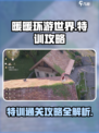 无限暖暖愿望的秘密特训攻略介绍