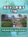 燕云十六声栗子是什么介绍