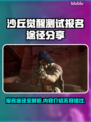 沙丘觉醒测试报名渠道大曝光！游戏内容抢先看🔥🎮