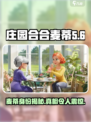 庄园合合麦蒂是谁介绍