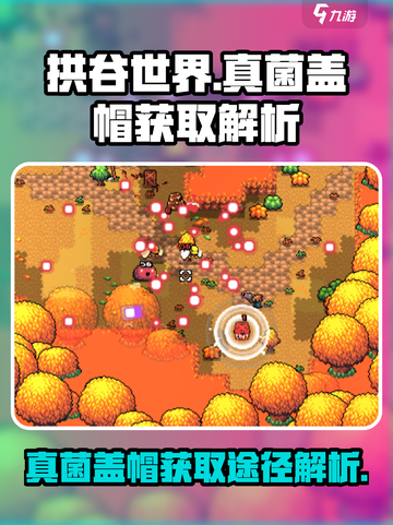 拱谷世界真菌盖帽在哪介绍截图1
