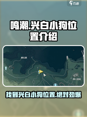 鸣潮🔥兴白小狗位置大揭秘！快来看看➡截图1