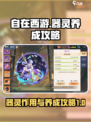 自在西游器灵有什么用介绍
