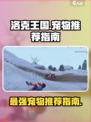 洛克王国世界推荐宠物指南介绍