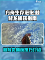 方舟生存进化手游🔥棘背龙捕获攻略来啦！
