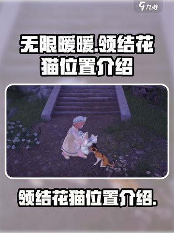 无限暖暖领结花猫在哪介绍截图1