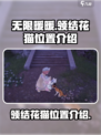 无限暖暖领结花猫在哪介绍