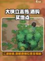 大侠立志传酒在哪里买介绍