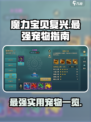 魔力宝贝复兴版🔥最强实用宠物大起底！