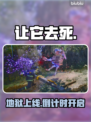 《让它去死》地狱上线！🔥