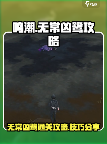 鸣潮⚡无常凶鹭通关攻略，轻松搞定🔥截图1