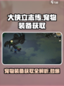 《大侠立志传》宠物装备获取🔥超全攻略来啦！