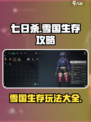 七日世界雪国玩法介绍介绍